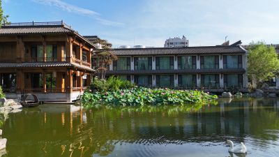 舜庐之光 陈宗胜