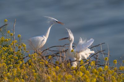 钱茜《东方摄影 · 我的2025》