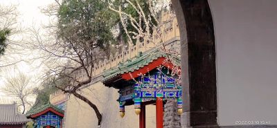 [建议]新手拍摄，虚心请教