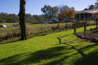 澳大利亚采风之旅 —— 悉尼卡尔姆斯利山城农场