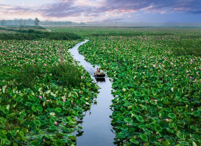 刘显保《东方摄影 · 我的2025》