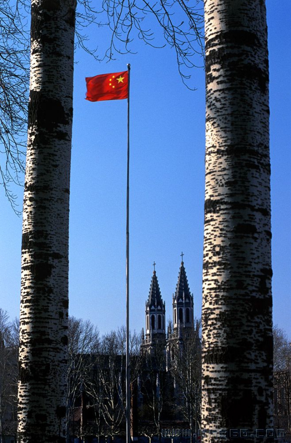 《已是栋材擎天下》