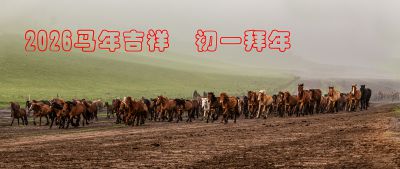 2026年春节初一拜年