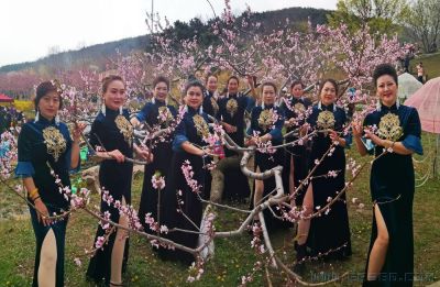 [原创]人面桃花相映红