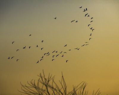 济南天桥沉沙湖风景8