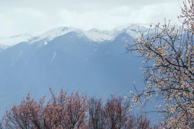 [原创]西藏之旅 ------ 嘎朗桃花源(三)
