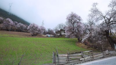 [原创]藏路风光（二）