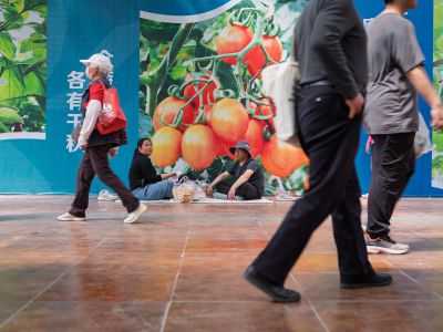 菜博会参观的人们