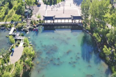 济南的白泉泉群2