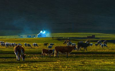 [原创]【暮 归】