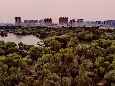 初秋的明湖（6）