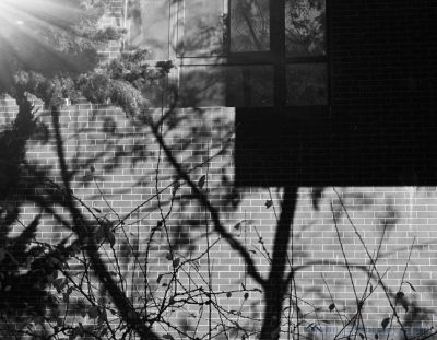 [原创]墙角倒影