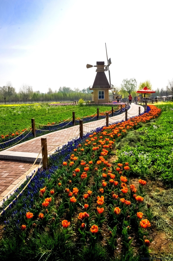 《曲径通幽处》