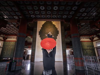 望湖塔里孔雀舞