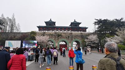 南京玄武湖踏青赏花1