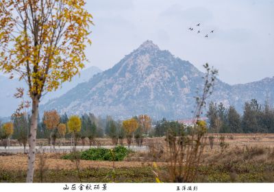山区金秋丽景