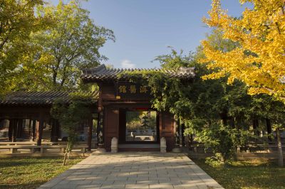 [原创]《百年宏济堂》