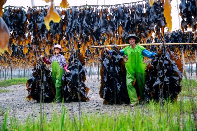 海的味道，爱的温度