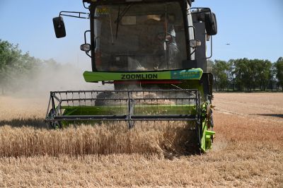 又到一年麦收时