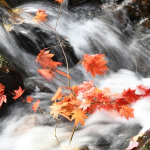 孙家勇《东方摄影 · 我的2023》