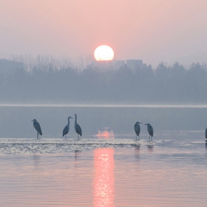 李木《东方摄影 · 我的2023》：《家园》