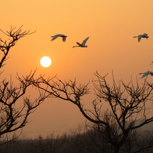 马丽《东方摄影 · 我的2023》