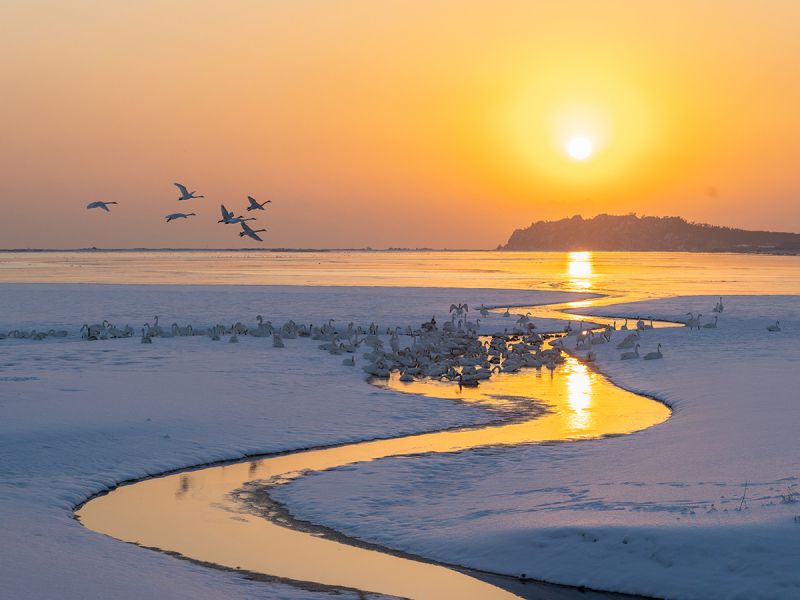 钱茜《东方摄影 · 我的2025》