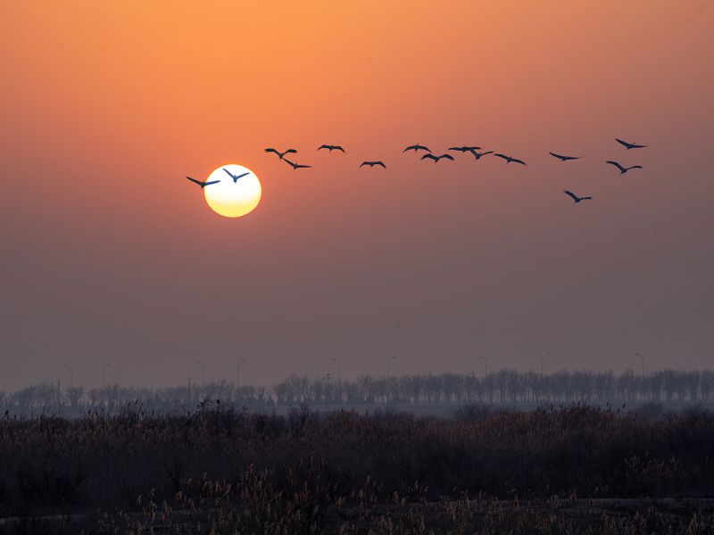 陈玉萍《东方摄影 · 我的2025》