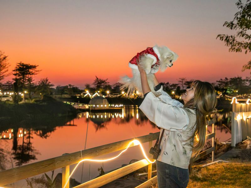 黎永红《东方摄影 · 我的2025》-《人宠社交》（组照）